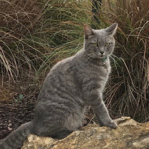 Meet your Posher, Katie